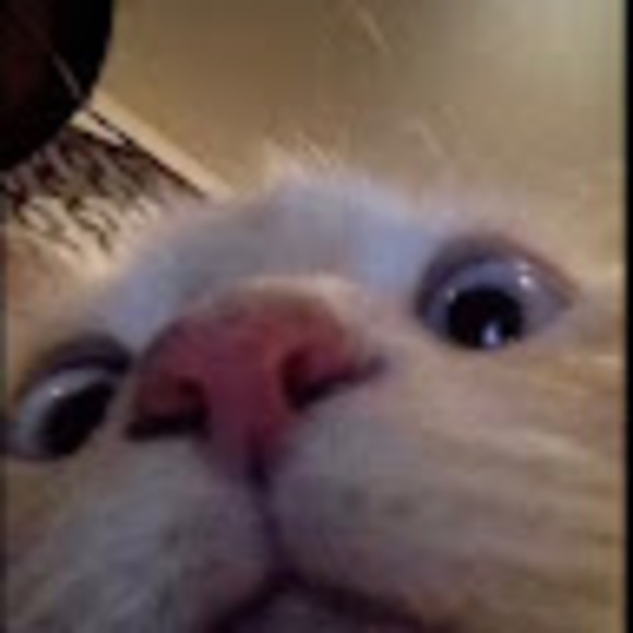 Meet your Posher, Aaronyanda - Picture 1 of 1